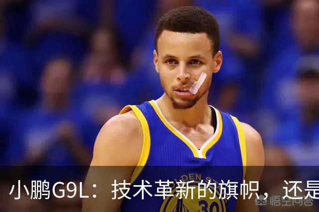 小鹏G9L：技术革新的旗帜，还是空话连篇？